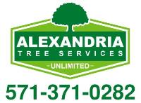 Alexandria Tree Services Unlimited image 1